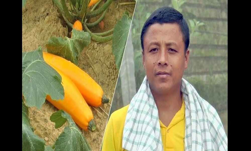 Manipur farmers adopt integrated farming