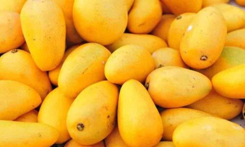 Carbide-ripened mangoes flood Nellore district