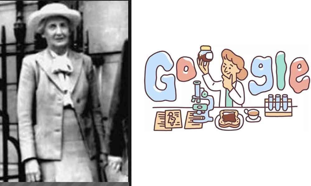 Haematologist Lucy Wills honoured with a Google Doodle