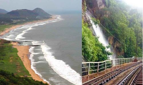 4 things to make your Summer a bearable one!