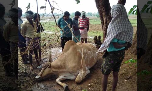 Rains create havoc in Nagarkurnool