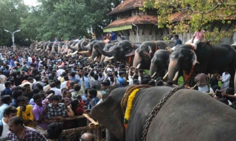 54-year-old tusker opens Thrissur Pooram fest in Kerala