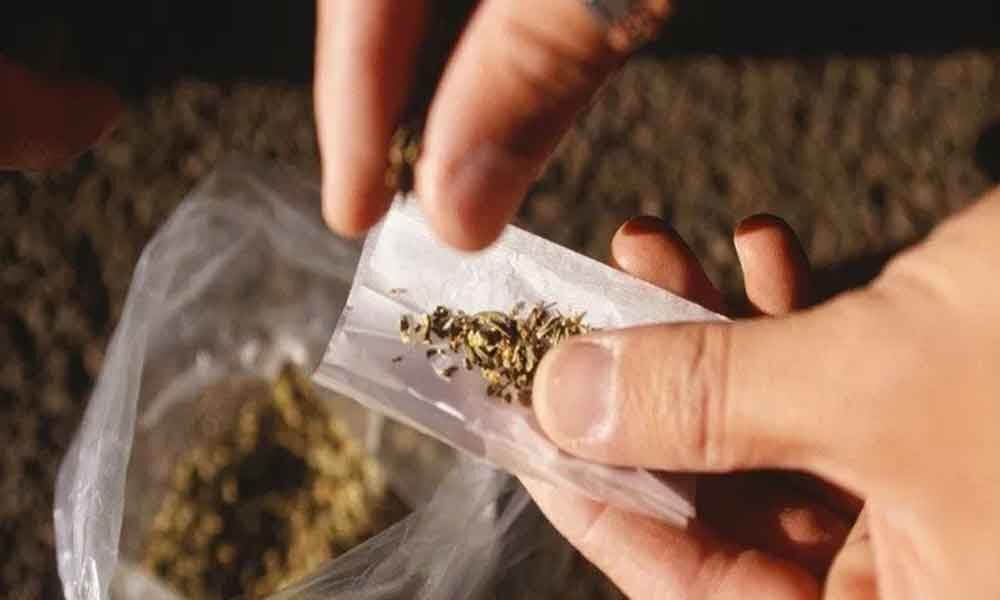Drug peddlers hand-in-glove with police: Meghalaya High Court