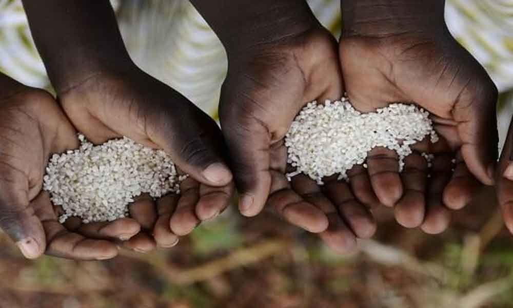 New global benchmark for famine declarations