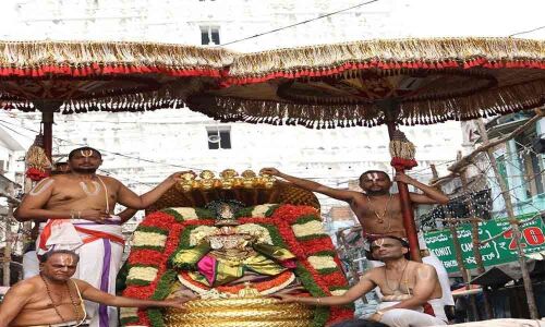Lord Govindaraja rides Chinnasesha Vahanam
