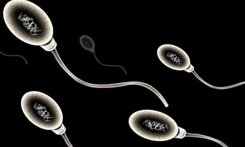 Fertility in danger! Men try having family before its too late