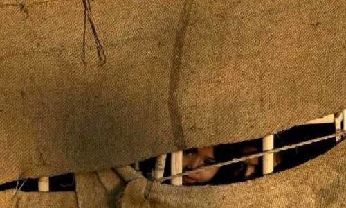 Bangladesh rescues 23 Rohingya girls from traffickers