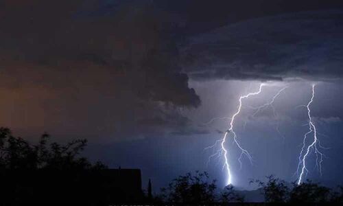 3 die due to lightning in Nellore