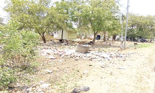 Overflowing drainage, garbage worry denizens