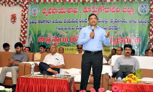 Natural farming will help secure high yields of paddy