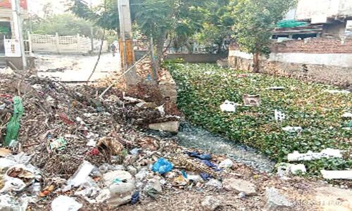 Drain fully covered by waste, hyacinth