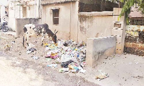 Heaps of garbage troubling residents