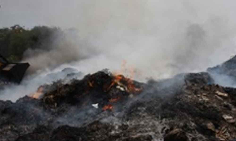 Fire breaks out at Sanjeevaiah park in Hyderabad