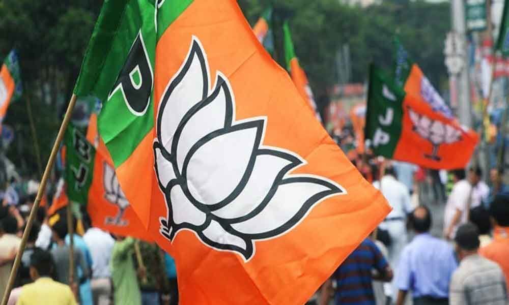 BJPs Kerala candidate has 240 criminal cases