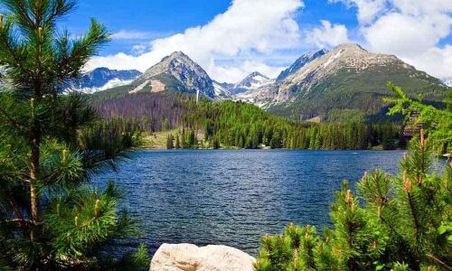 A true seeker needs to first respect nature