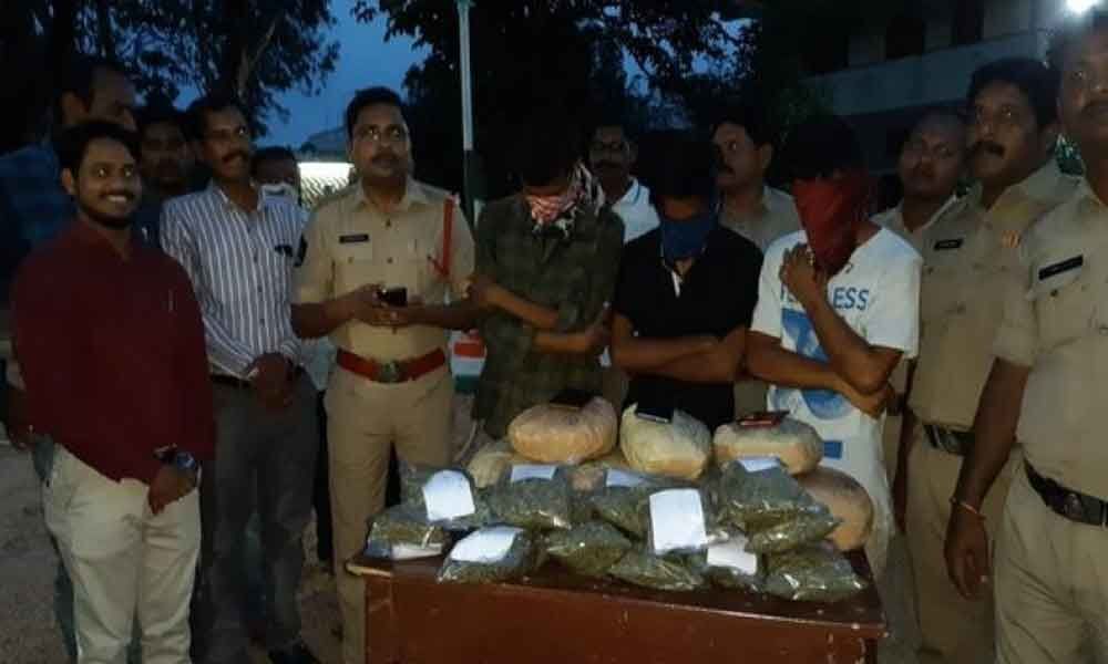 10 kg ganja seized by Andhra police; 3 BTech students arrested