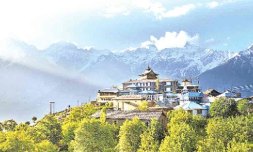 Its lights camera, action in hills