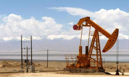 Reliance-BP makes first bid for oil block