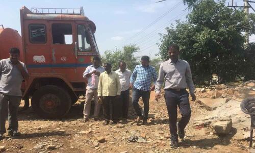 Criminal case slapped on land shark