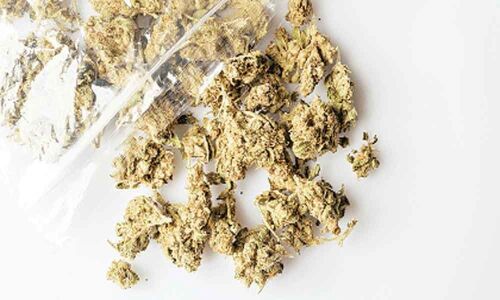 Legal marijuana increases injuries and car accidents