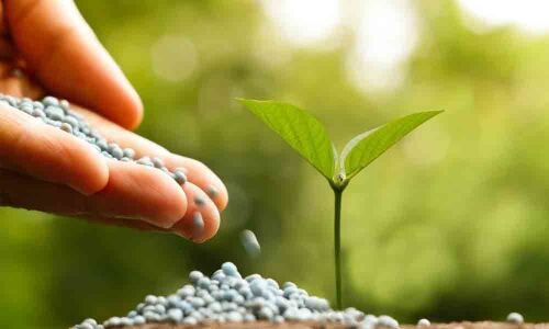 Officials warn traders against selling spurious seeds