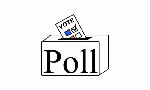 5 in the fray for Council seat