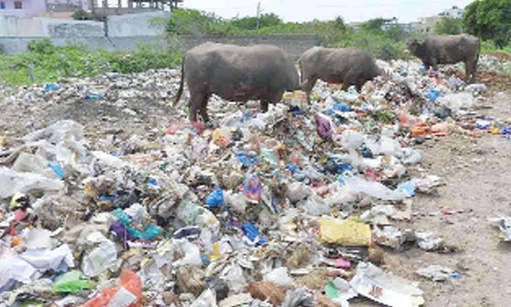 100 metric tonnes of waste strewn on Palamuru roads every day
