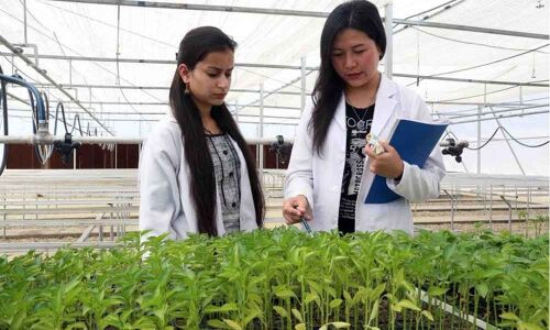 External funds for research in ICAR institutes remain unutilised