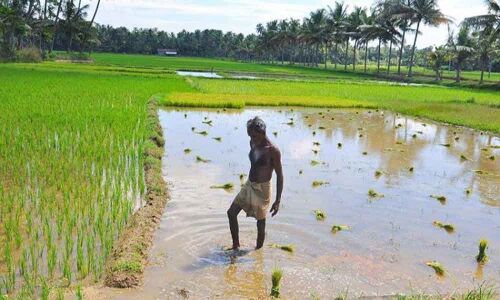 National Academy of Agricultural Research Management secures agricultural education project