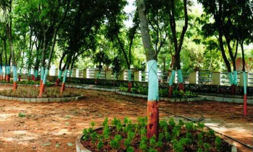 Eight more colony parks for LB Nagar