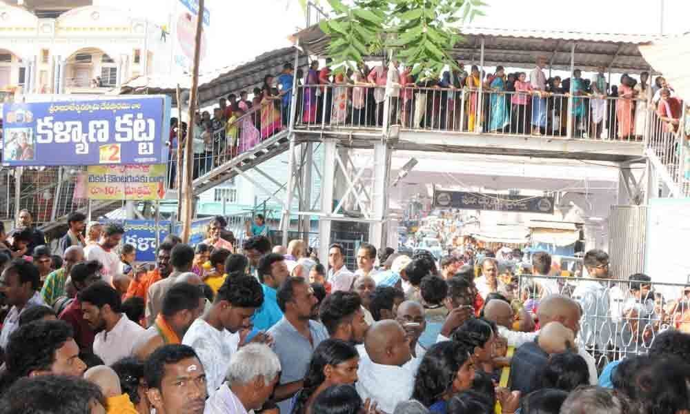 Huge rush at Rajanna temple