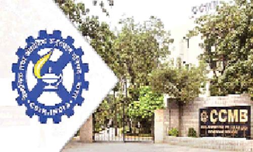 Protein that fights plant bacteria identified