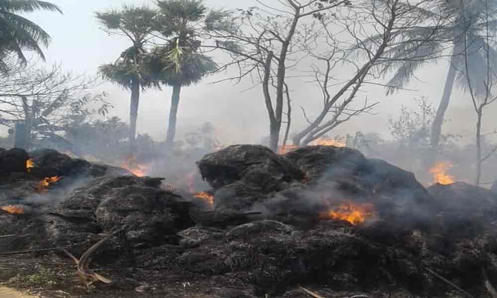 3 cattle dead, two huts gutted in fire