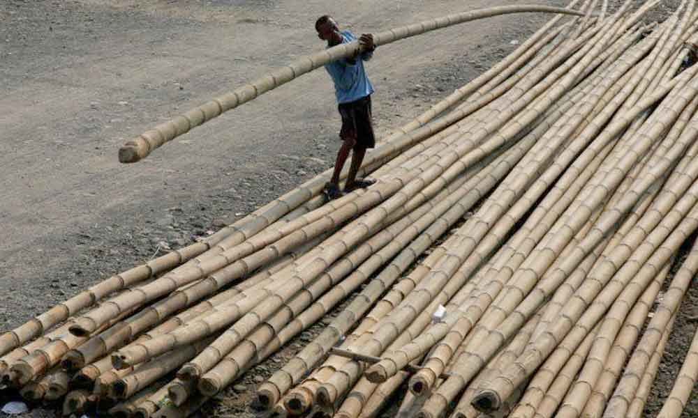 Bamboo Mission in State faces teething problems