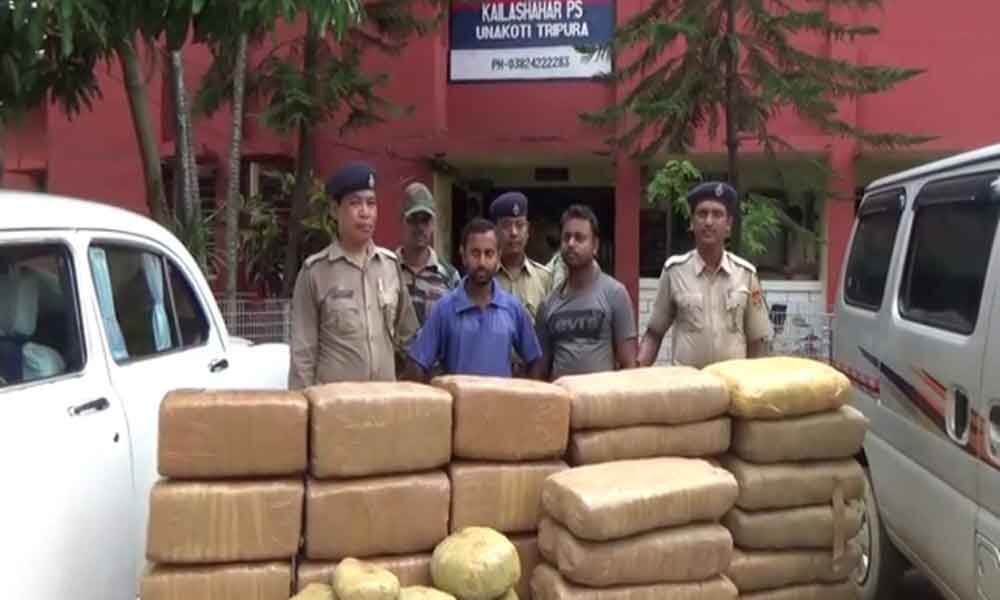 Ganja worth Rs 25 lakh seized in Tripura