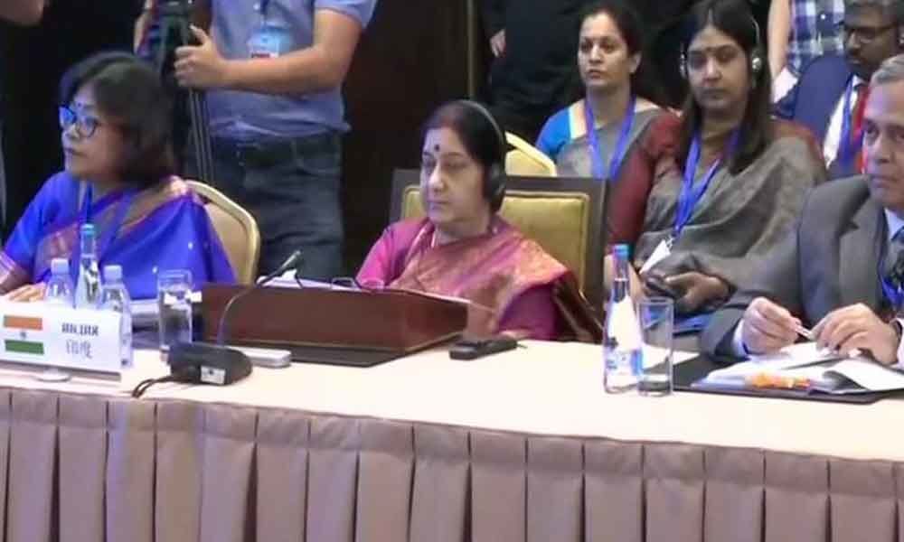 SriLanka, Pulwama attacks made India determined to fight terrorism: Swaraj tells SCO