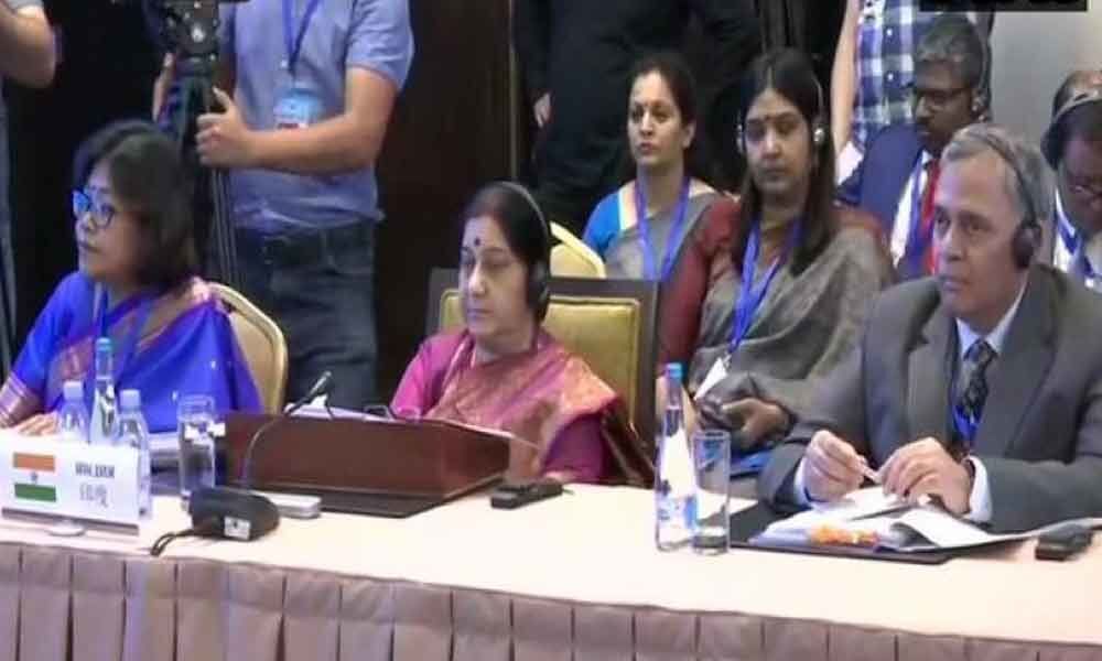 Afghanistan, terrorism top Sushma Swarajs speech at SCO meet