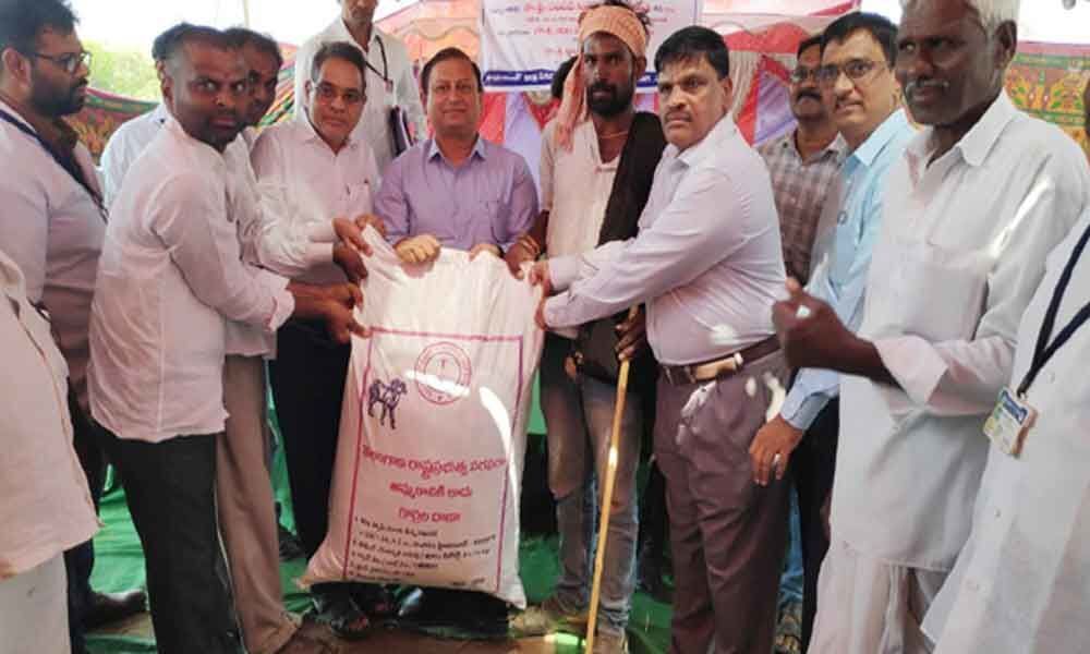 Free feed distribution for shepherds launched