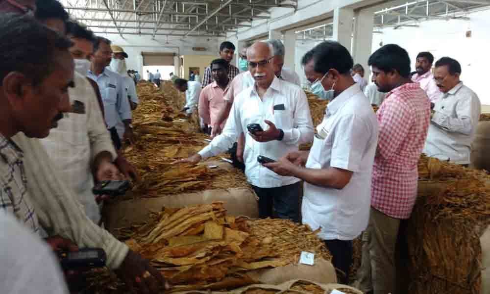 Rejection of low-grade tobacco worries farmers in Ongole