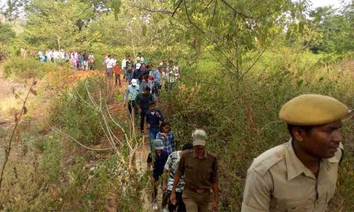 Warangal: Call to protect biodiversity