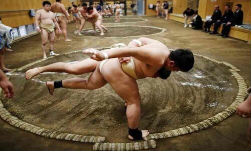 Japans sumo fans welcome Trump Trophy