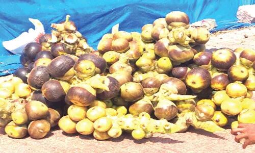 Brisk sale of ice apples as heat waves persist