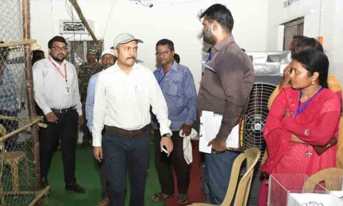 Six-week jittery wait to end today