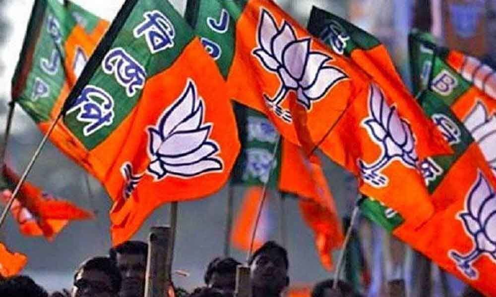 BJP sweeping Lok Sabha polls