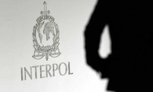 50 children saved after police bust paedophile website: Interpol