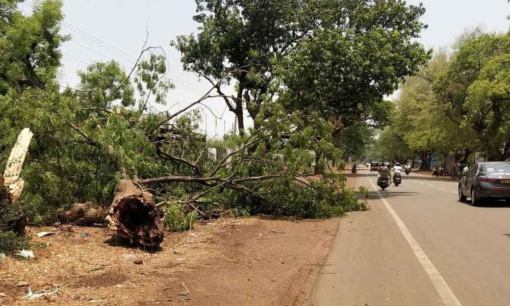 Rain wreaks havoc in Zaheerabad