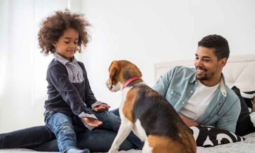 Study identifies dog breeds, physical traits that pose highest risk of biting children