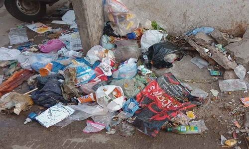 Rampant mosquito menace in areas along Musi river