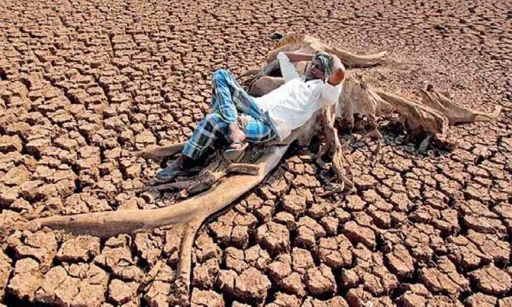 Drought situation in Maharashtra is very serious says Sharad Pawar