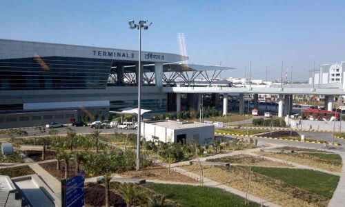 NGO rescues peacock at IGI Airport